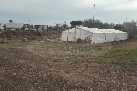 Helårsgrund i Mondragone, Caserta, Mondragone - € 7.900 | Ref: TERRENOMONDRAGONE - foto 3