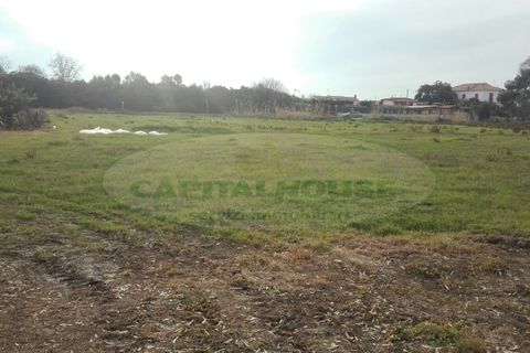 Helårsgrund i Mondragone, Caserta, Mondragone - € 7.900 | Ref: TERRENOMONDRAGONE - foto 4