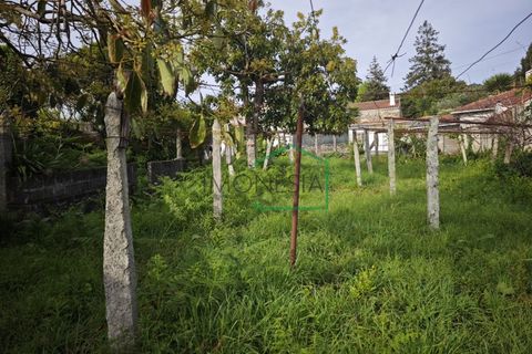 Villa i Caminha, Viana do Castelo, Caminha - € 450.000 | Ref: 2241 - foto 11