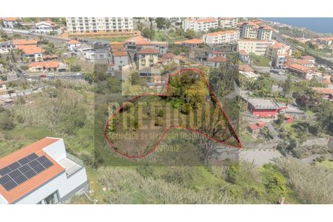 Helårsgrund i Caniço, Madeira, Caniço - € 380.000 | Ref: SÒL_798_VG - foto 2