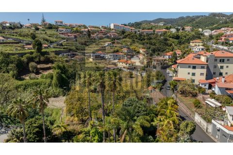 Helårsgrund i Caniço, Madeira, Caniço - € 380.000 | Ref: SÒL_798_VG - foto 4