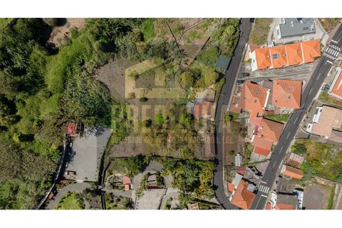 Helårsgrund i Caniço, Madeira, Caniço - € 380.000 | Ref: SÒL_798_VG - foto 5