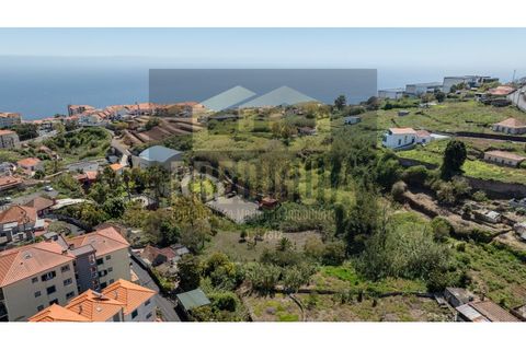 Helårsgrund i Caniço, Madeira, Caniço - € 380.000 | Ref: SÒL_798_VG - foto 6