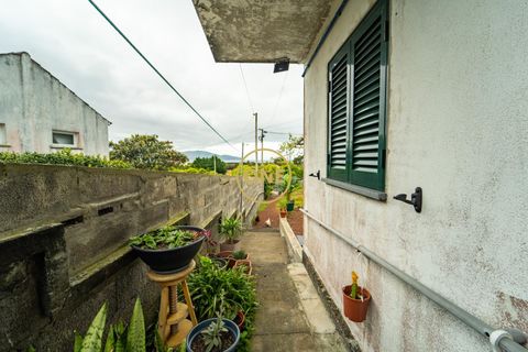 Byhus i Madalena, Pico, Madalena - € 315.000 | Ref: ONE401676-16 - foto 9