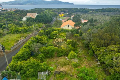 Byhus i Madalena, Pico, Madalena - € 315.000 | Ref: ONE401676-16 - foto 26