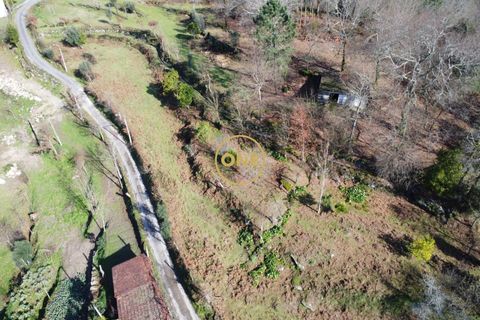 Helårsgrund i Vila Verde, Braga, Vila Verde - € 87.500 | Ref: ONE141494-76 - foto 16