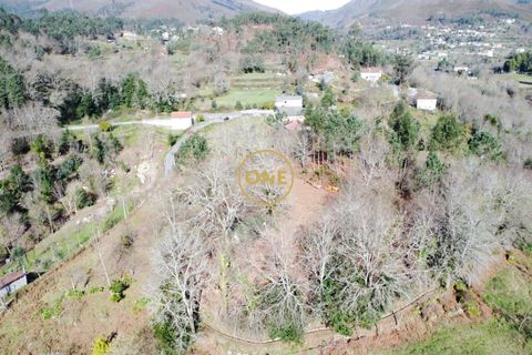 Helårsgrund i Vila Verde, Braga, Vila Verde - € 87.500 | Ref: ONE141494-76 - foto 22