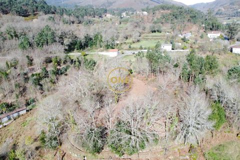 Helårsgrund i Vila Verde, Braga, Vila Verde - € 87.500 | Ref: ONE141494-76 - foto 23
