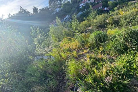 Byhus i Barcelos, Braga, Barcelos - € 320.000 | Ref: ONE551987-7 - foto 29