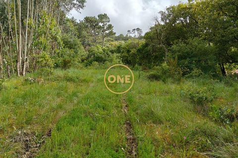 Helårsgrund i Mafra, Lisbon, Mafra - € 35.000 | Ref: ONE421719-16 - foto 3