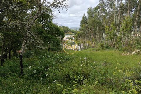 Helårsgrund i Mafra, Lisbon, Mafra - € 35.000 | Ref: ONE421719-16 - foto 9