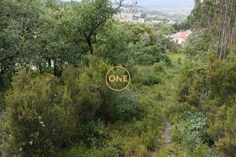 Helårsgrund i Mafra, Lisbon, Mafra - € 35.000 | Ref: ONE421719-16 - foto 11