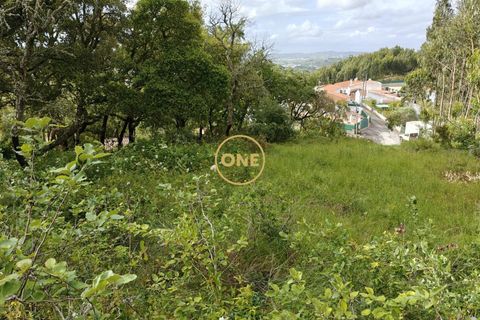 Helårsgrund i Mafra, Lisbon, Mafra - € 35.000 | Ref: ONE421719-16 - foto 15