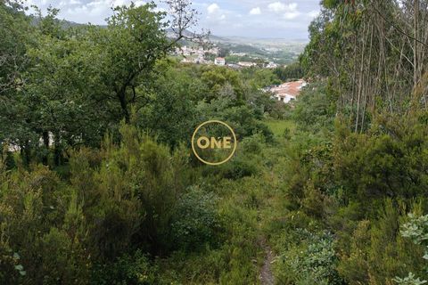 Helårsgrund i Mafra, Lisbon, Mafra - € 35.000 | Ref: ONE421719-16 - foto 19