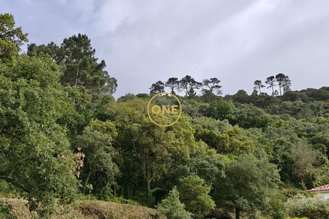 Helårsgrund i Mafra, Lisbon, Mafra - € 35.000 | Ref: ONE421719-16 - foto 21