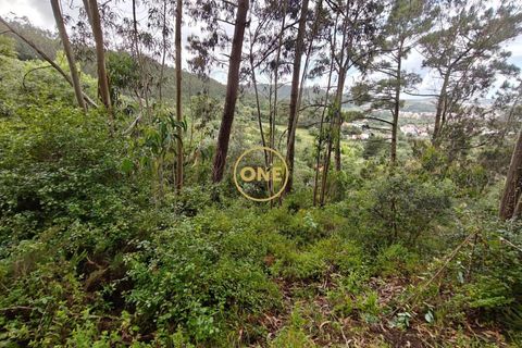 Helårsgrund i Mafra, Lisbon, Mafra - € 35.000 | Ref: ONE421719-16 - foto 22