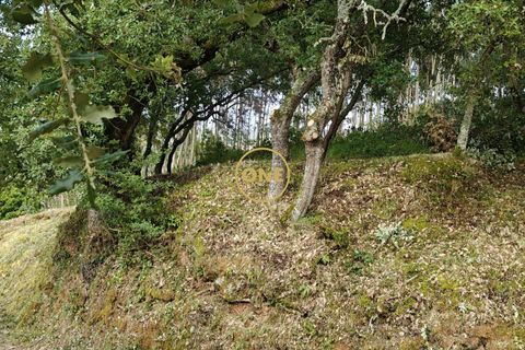 Helårsgrund i Mafra, Lisbon, Mafra - € 35.000 | Ref: ONE421719-16 - foto 23