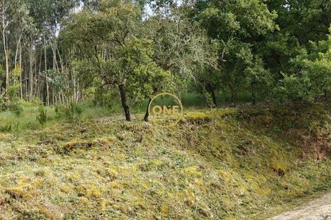 Helårsgrund i Mafra, Lisbon, Mafra - € 35.000 | Ref: ONE421719-16 - foto 25