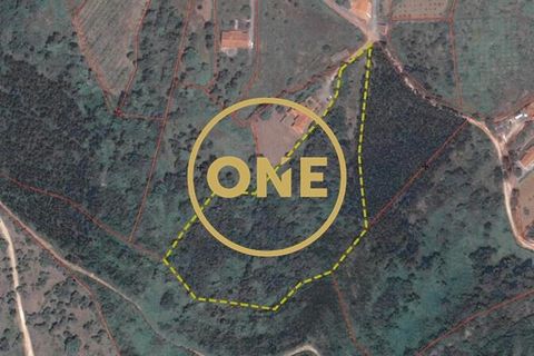 Helårsgrund i Mafra, Lisbon, Mafra - € 35.000 | Ref: ONE421719-16 - foto 30
