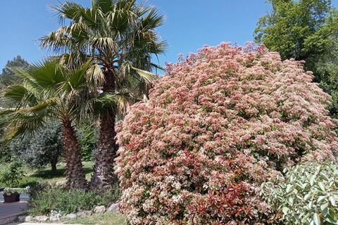 Villa i Cabasse, Var, Cabasse - € 488.000 | Ref: 387 - foto 1