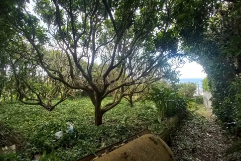 Villa en Vila Franca do Campo, Sao Miguel, Vila Franca do Campo - € 235.000 | Ref: C0276-02755 - photo 28