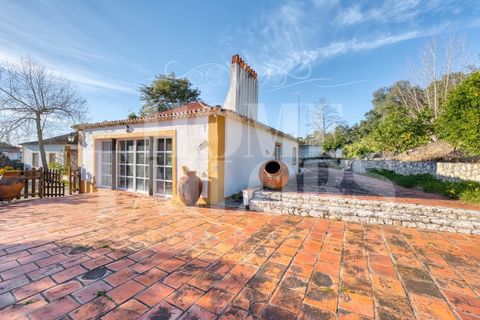 Farm i Chamusca, Santarem, Chamusca - € 785.000 | Ref: HT_41028 - foto 26