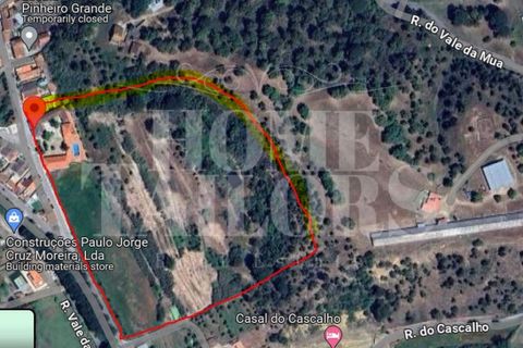 Farm i Chamusca, Santarem, Chamusca - € 785.000 | Ref: HT_41028 - foto 28