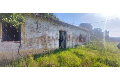 Farm i Chamusca, Santarem, Chamusca - € 785.000 | Ref: HT_41028 - foto 29