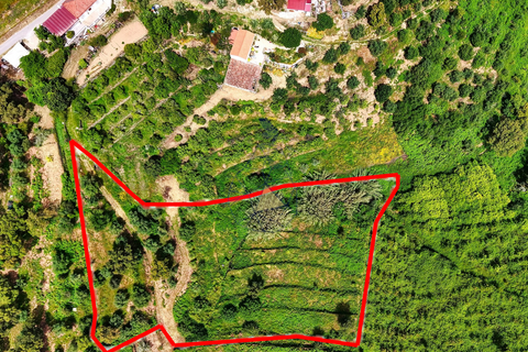 Helårsgrund i Monchique, Faro, Monchique - € 54.500 | Ref: JE041 MO - foto 1