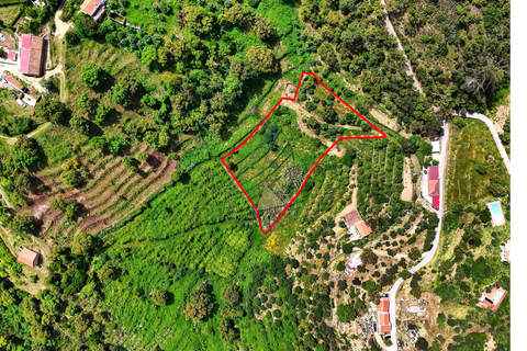 Helårsgrund i Monchique, Faro, Monchique - € 54.500 | Ref: JE041 MO - foto 3