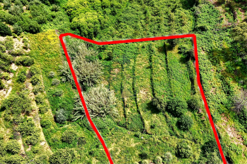 Helårsgrund i Monchique, Faro, Monchique - € 54.500 | Ref: JE041 MO - foto 4