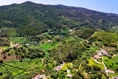 Helårsgrund i Monchique, Faro, Monchique - € 54.500 | Ref: JE041 MO - foto 2