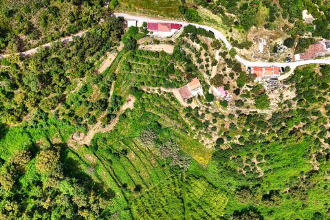Helårsgrund i Monchique, Faro, Monchique - € 54.500 | Ref: JE041 MO - foto 5