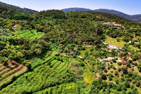 Helårsgrund i Monchique, Faro, Monchique - € 54.500 | Ref: JE041 MO - foto 6