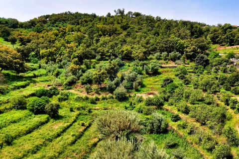 Helårsgrund i Monchique, Faro, Monchique - € 54.500 | Ref: JE041 MO - foto 8