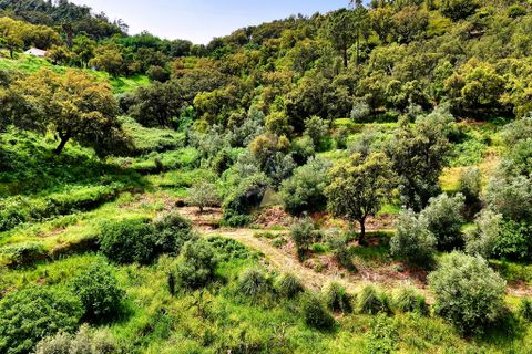 Helårsgrund i Monchique, Faro, Monchique - € 54.500 | Ref: JE041 MO - foto 9