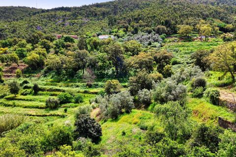 Helårsgrund i Monchique, Faro, Monchique - € 54.500 | Ref: JE041 MO - foto 10