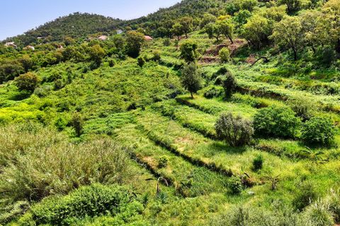 Helårsgrund i Monchique, Faro, Monchique - € 54.500 | Ref: JE041 MO - foto 11