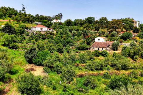 Helårsgrund i Monchique, Faro, Monchique - € 54.500 | Ref: JE041 MO - foto 13