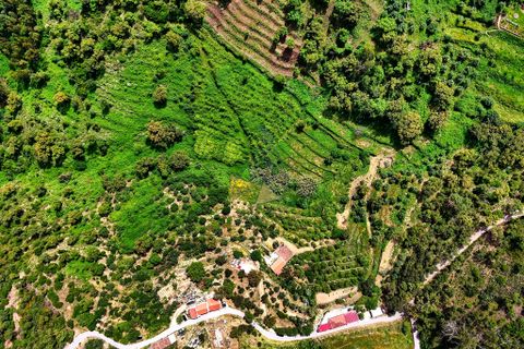 Helårsgrund i Monchique, Faro, Monchique - € 54.500 | Ref: JE041 MO - foto 14