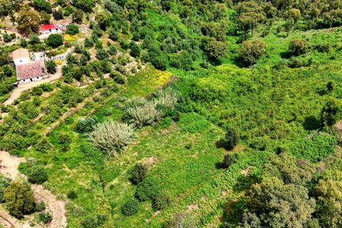 Helårsgrund i Monchique, Faro, Monchique - € 54.500 | Ref: JE041 MO - foto 15