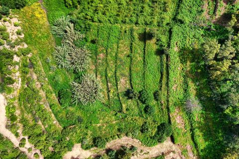 Helårsgrund i Monchique, Faro, Monchique - € 54.500 | Ref: JE041 MO - foto 16
