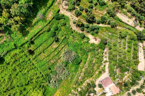 Helårsgrund i Monchique, Faro, Monchique - € 54.500 | Ref: JE041 MO - foto 17