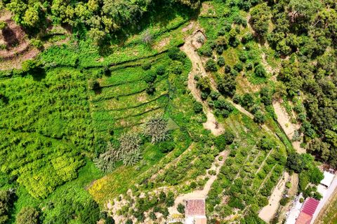 Helårsgrund i Monchique, Faro, Monchique - € 54.500 | Ref: JE041 MO - foto 18