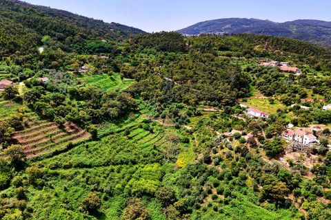 Helårsgrund i Monchique, Faro, Monchique - € 54.500 | Ref: JE041 MO - foto 19