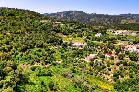 Helårsgrund i Monchique, Faro, Monchique - € 54.500 | Ref: JE041 MO - foto 20