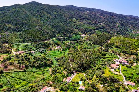 Grond in Monchique, Faro, Monchique - € 54.500 | Ref: JE041 MO - foto 2