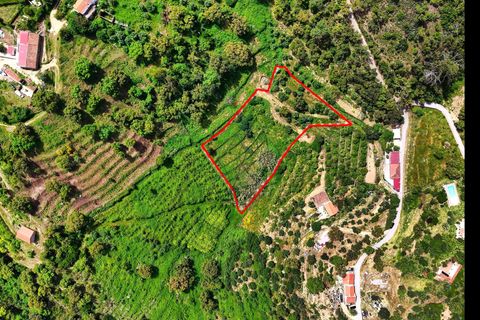 Grond in Monchique, Faro, Monchique - € 54.500 | Ref: JE041 MO - foto 3