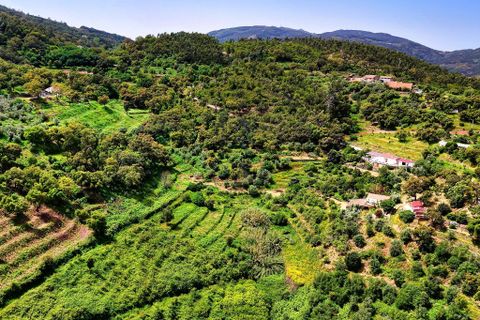Grond in Monchique, Faro, Monchique - € 54.500 | Ref: JE041 MO - foto 6