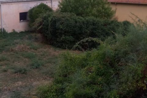Terra a Vallecrosia, Imperia, Vallecrosia - € 50.000 | Ref: t 365 - foto 2